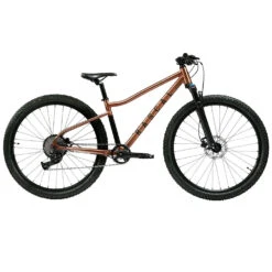 Rascal VTT Adolescents 29" - Wild 29 - 2023 - Brass