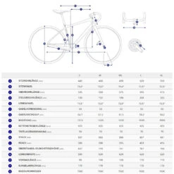 Giant FASTROAD SL 2 - Shimano Sora Vélo Sport - 2022 - Good Gray -Velo Lemonde Boutique geo 1186893