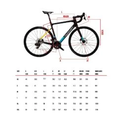 Wilier GARDA Disc - 105 Di2 - NDR38 - Vélo Route En Carbone - 2023 - Black Red Matt -Velo Lemonde Boutique geo garda rival 1303876 3