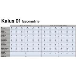 BMC KAIUS 01 TWO - Vélo Gravel En Carbone - 2023 - Turquoise & Black 13 BMC KAIUS 01 TWO - Vélo Gravel En Carbone - 2023 - Turquoise & Black -Velo Lemonde Boutique geo kaius 01 1315306