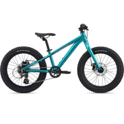 Liv STP 20" Kids Mountainbike - 2023 - Teal