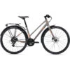 Liv ALIGHT - Women Citybike - 2022 - Metal