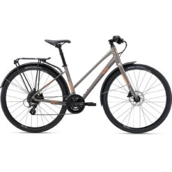 Liv ALIGHT - Women Citybike - 2022 - Metal