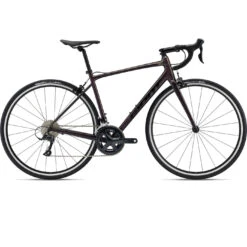 Giant CONTEND 1 - Shimano Sora Vélo Route - 2023 - Rosewood